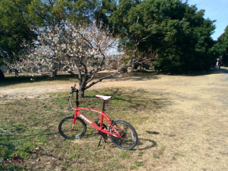 佐布里池梅林公園